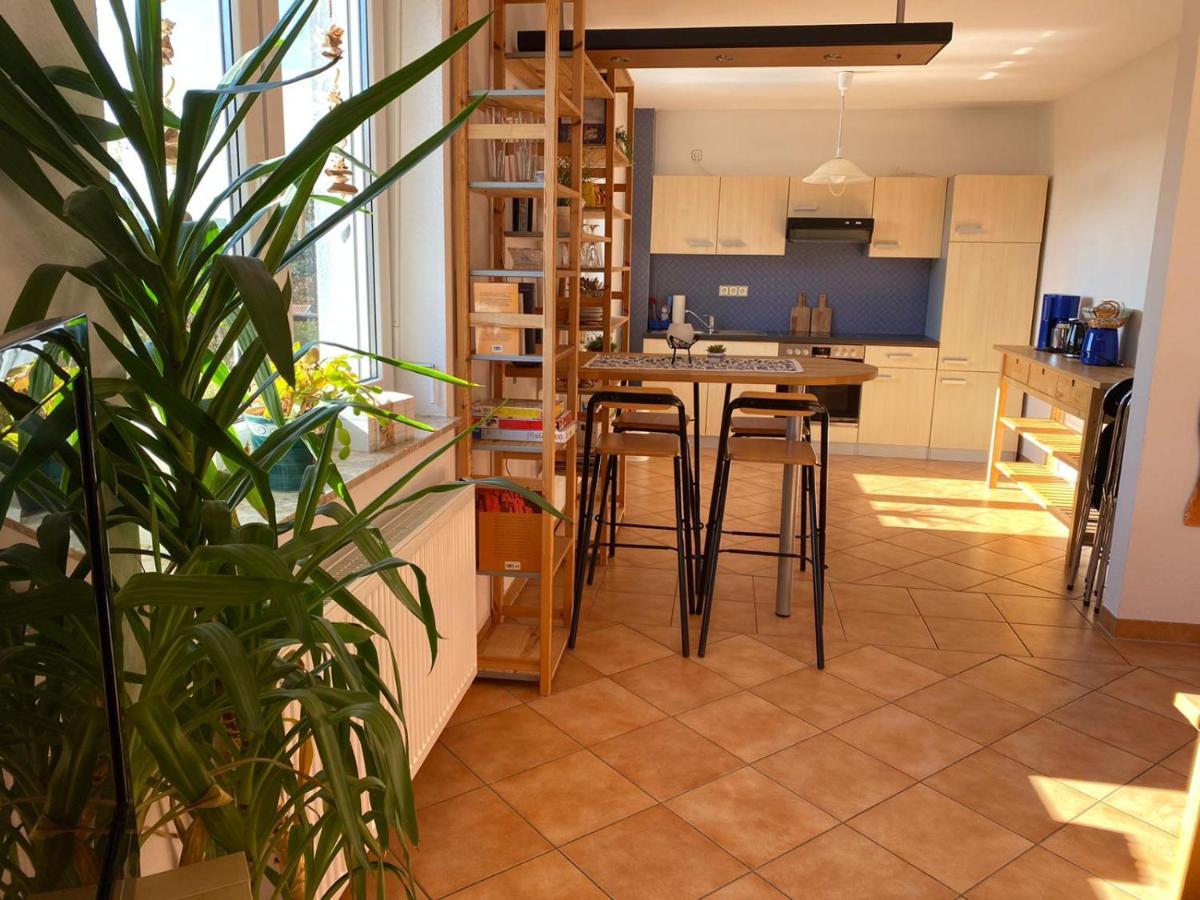 Ferienwohnung Geidel In Der Altstadt ノルトハウゼン エクステリア 写真